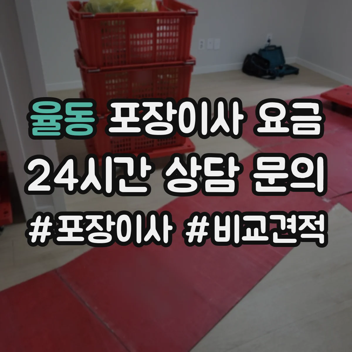 율동 포장이사 요금