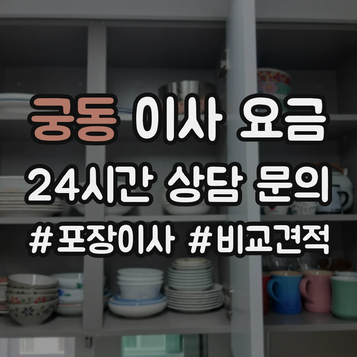 궁동 이사 요금