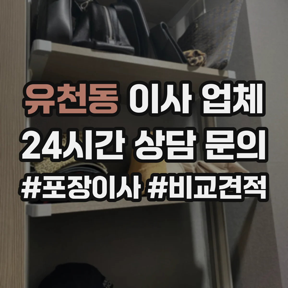유천동 이사 업체