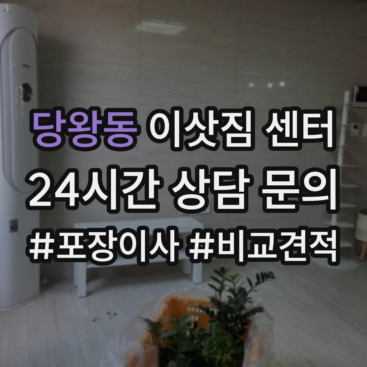 당왕동 이삿짐 센터