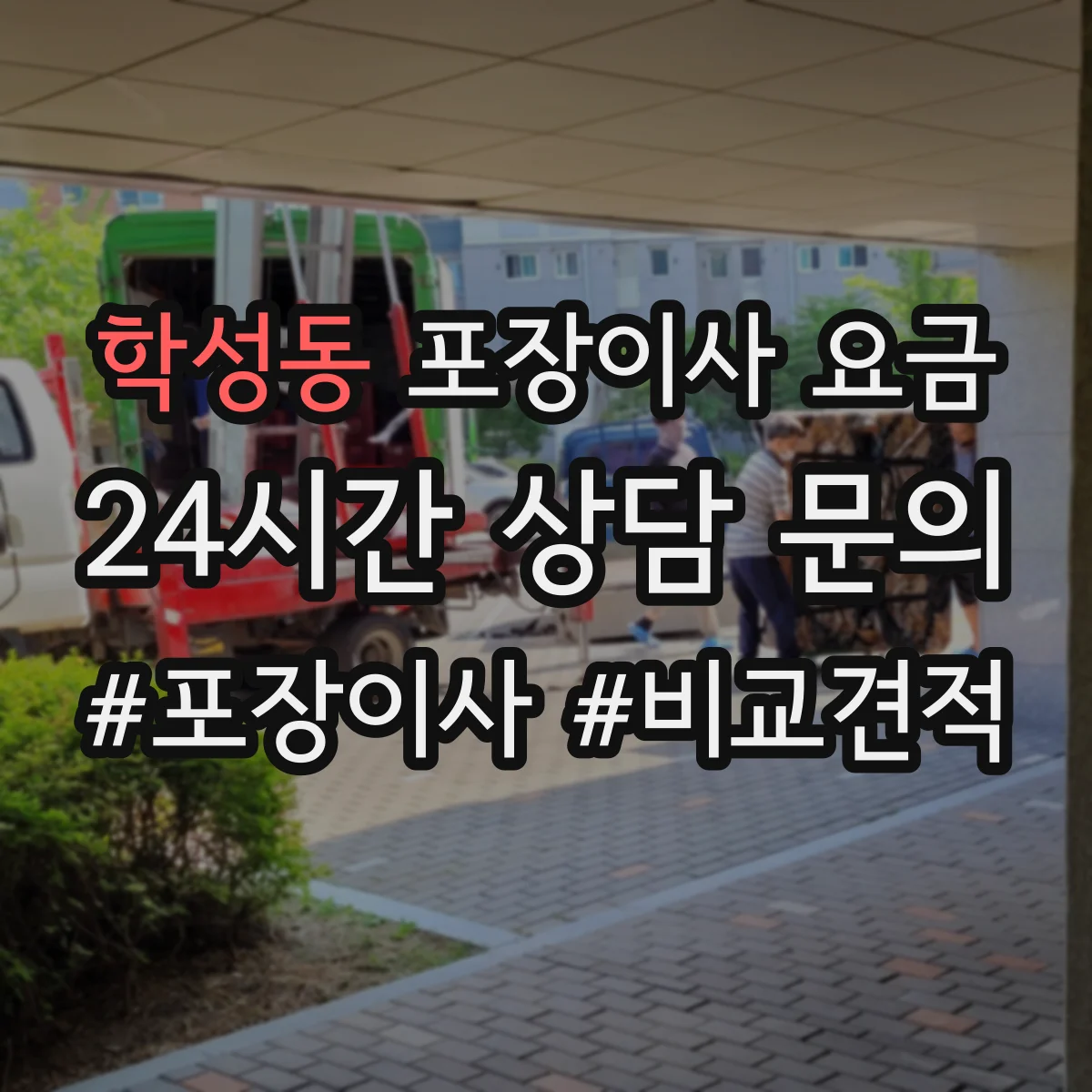 학성동 포장이사 요금