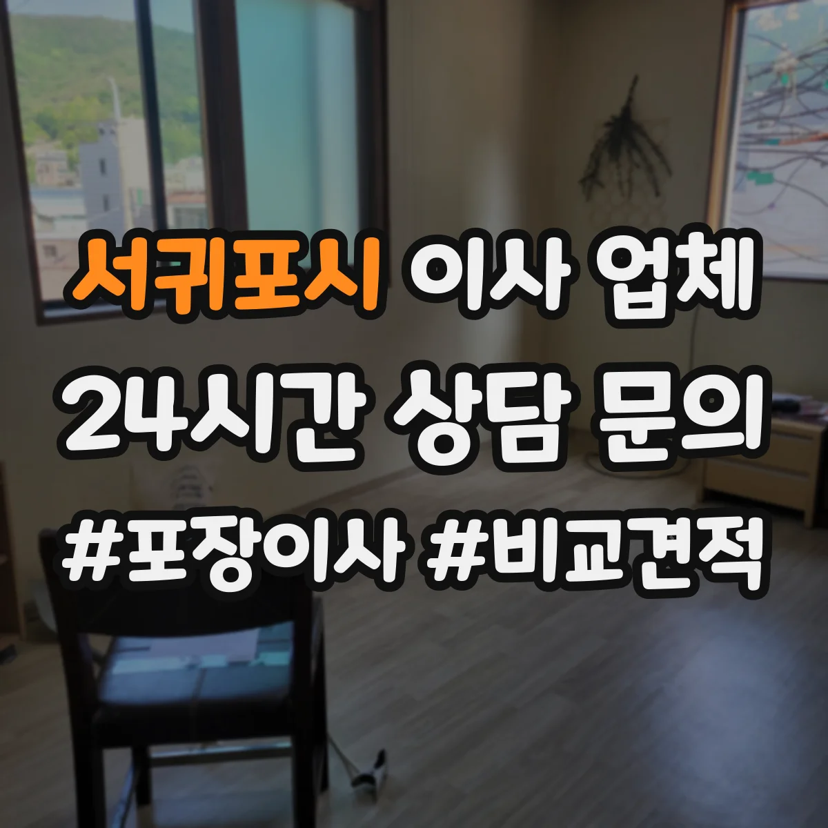 서귀포시 이사 업체