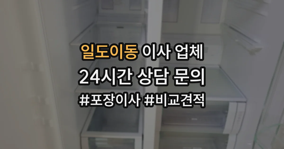일도이동 이사 업체