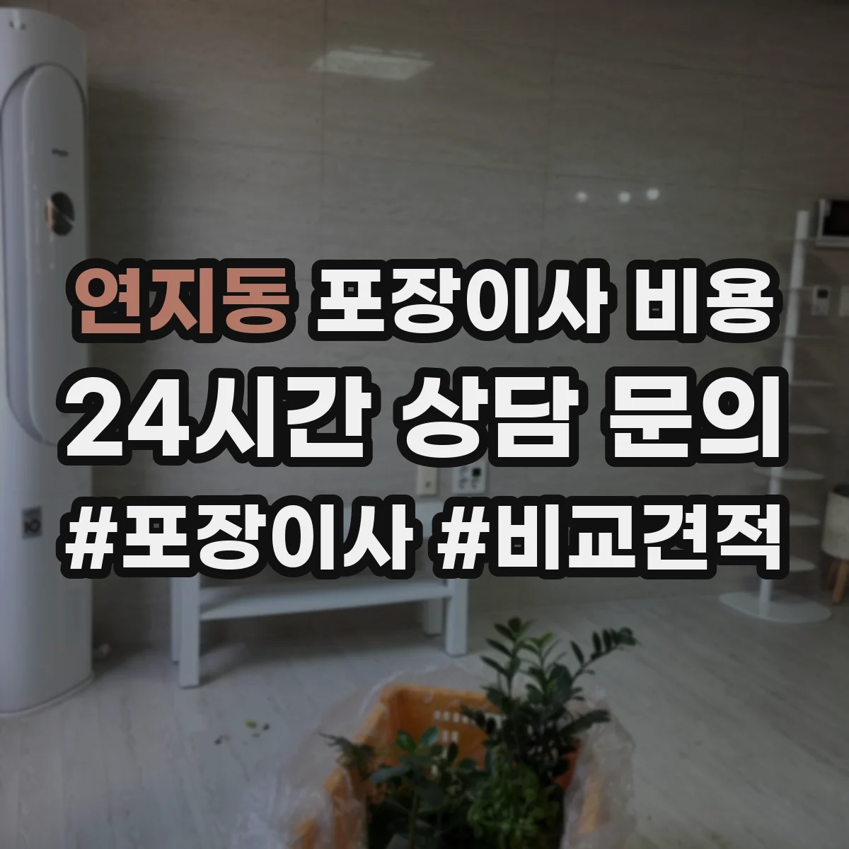 연지동 포장이사 비용