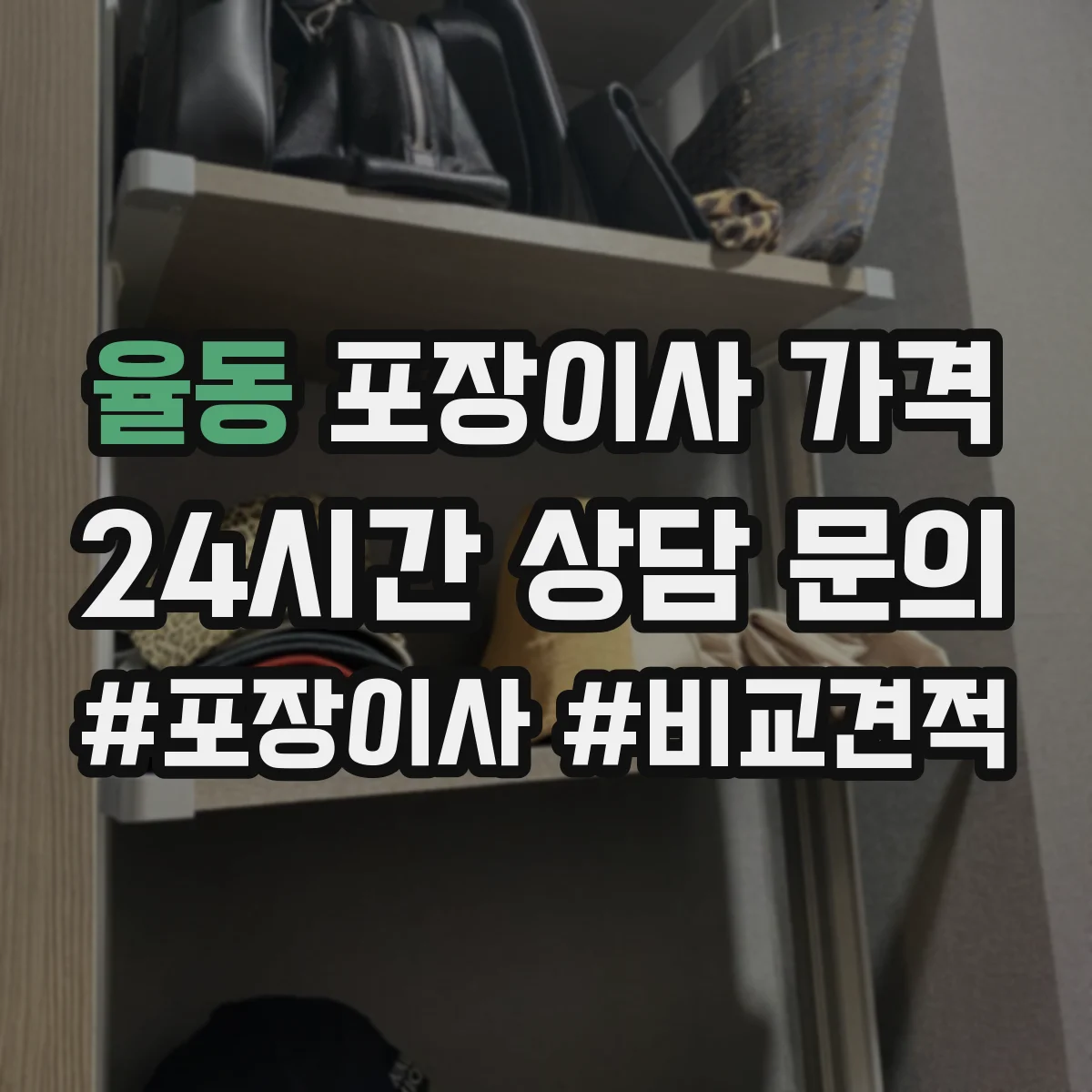 율동 포장이사 가격