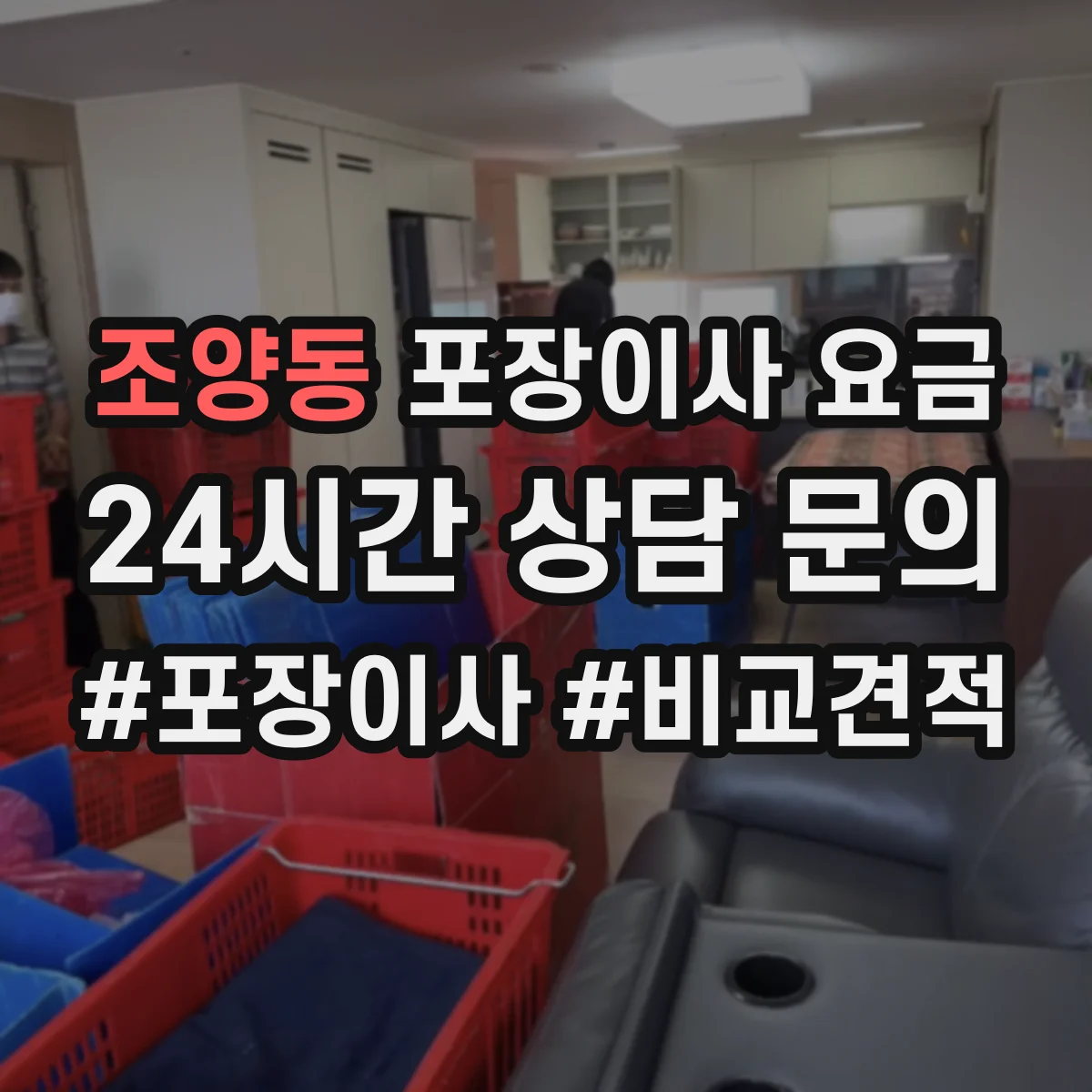 조양동 포장이사 요금