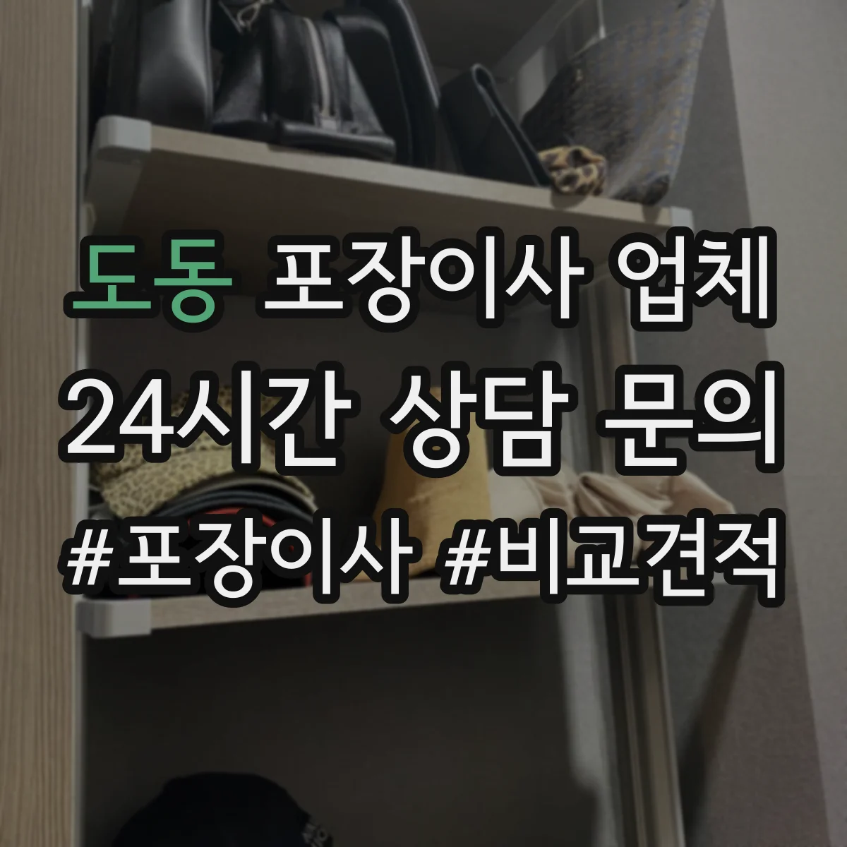 도동 포장이사 업체