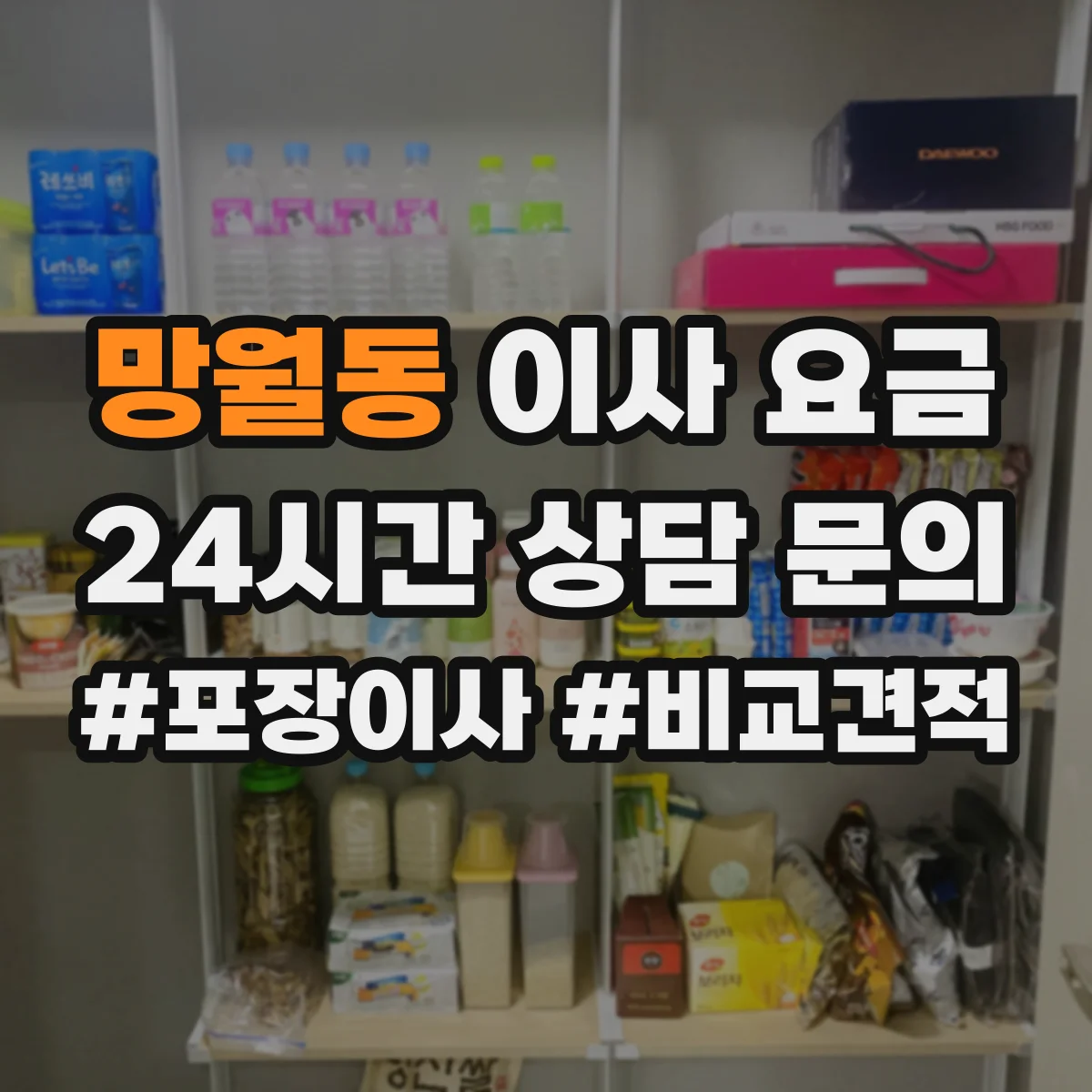 망월동 이사 요금