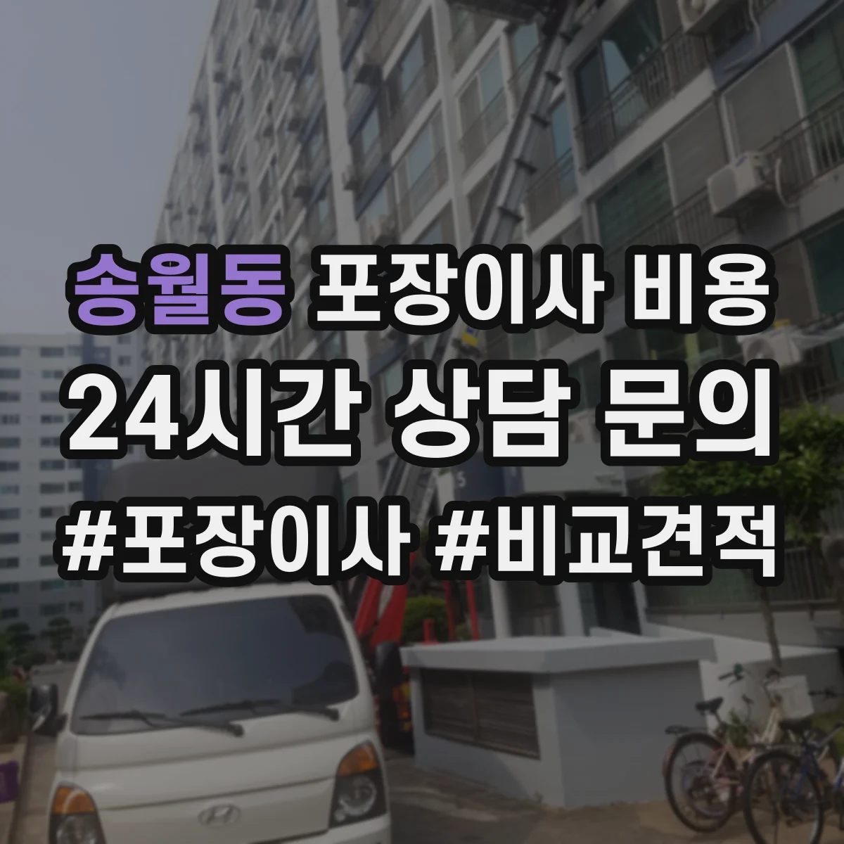 송월동 포장이사 비용