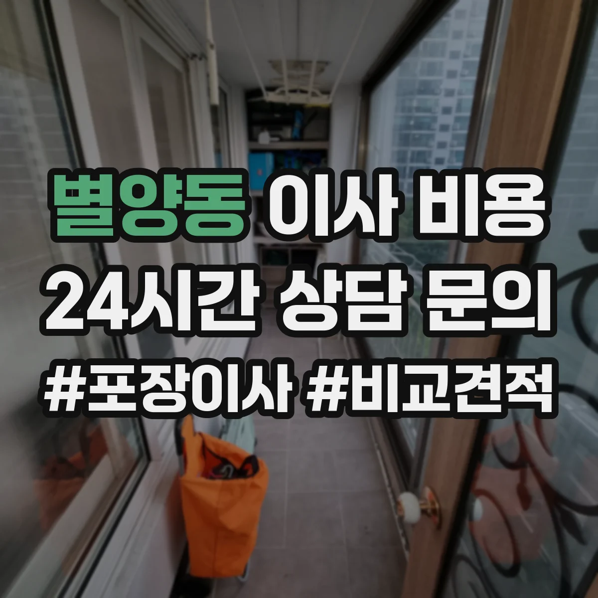 별양동 이사 비용