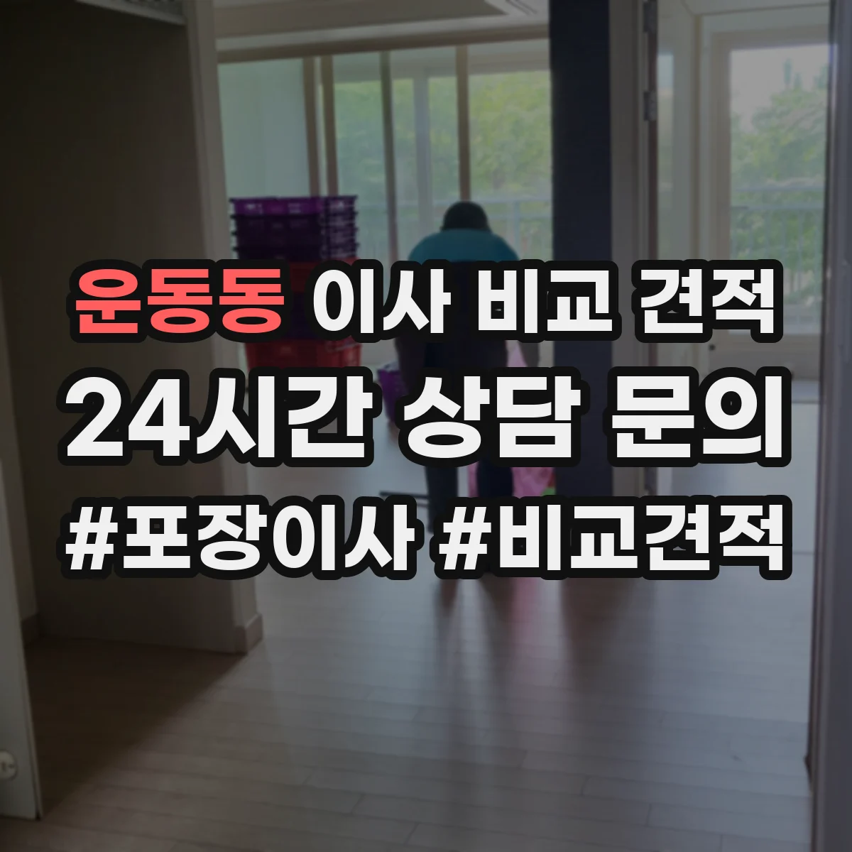 운동동 이사 비교 견적