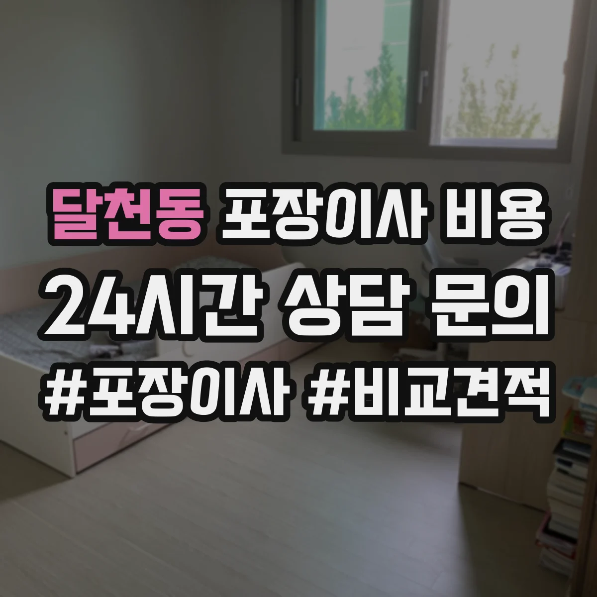 달천동 포장이사 비용