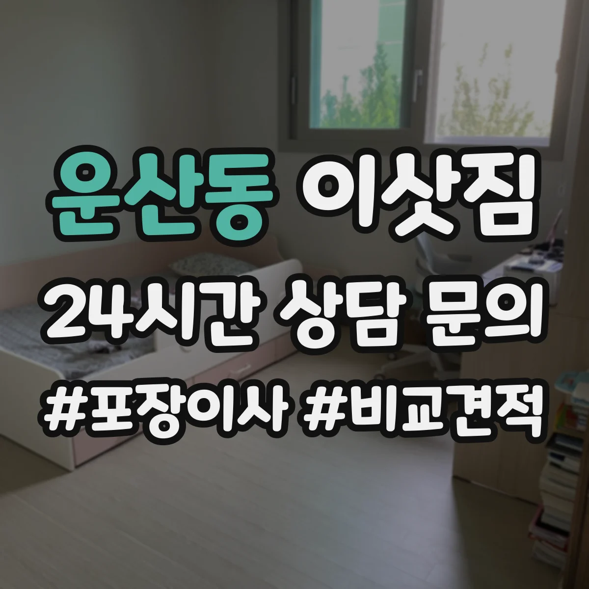 운산동 이삿짐