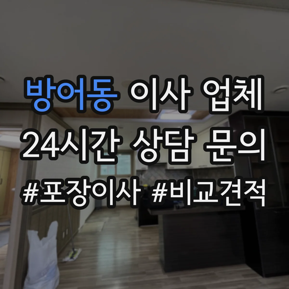 방어동 이사 업체
