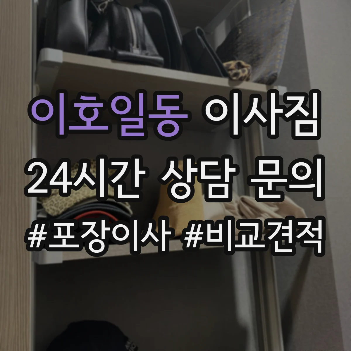 이호일동 이사짐