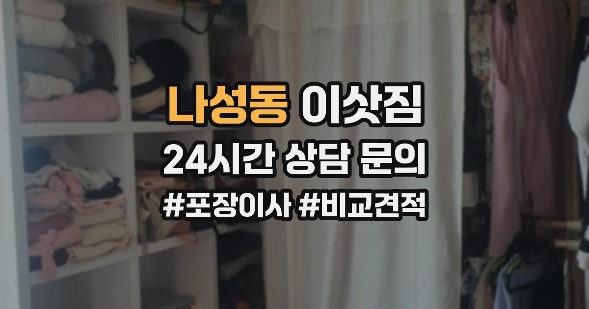 나성동 이삿짐