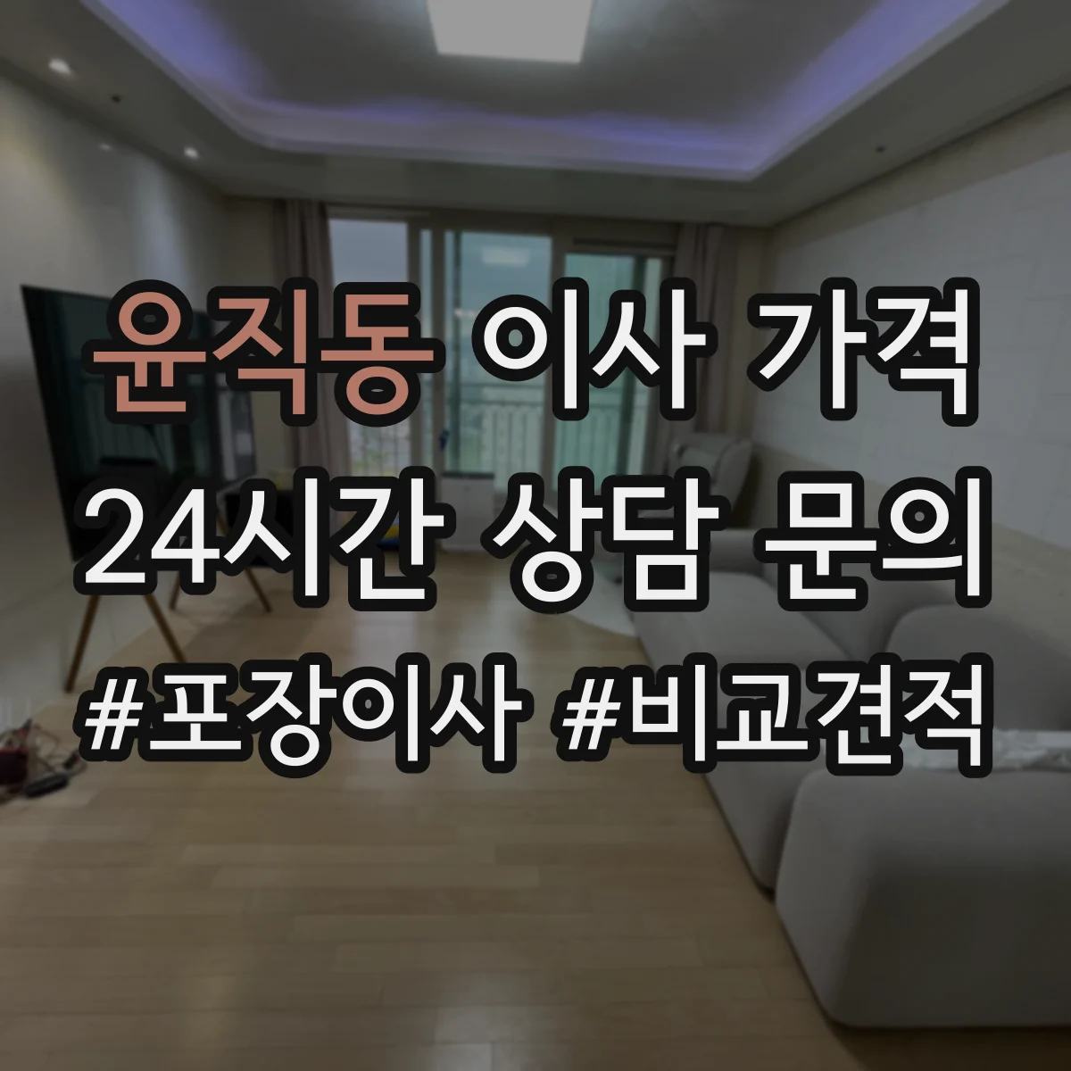 윤직동 이사 가격