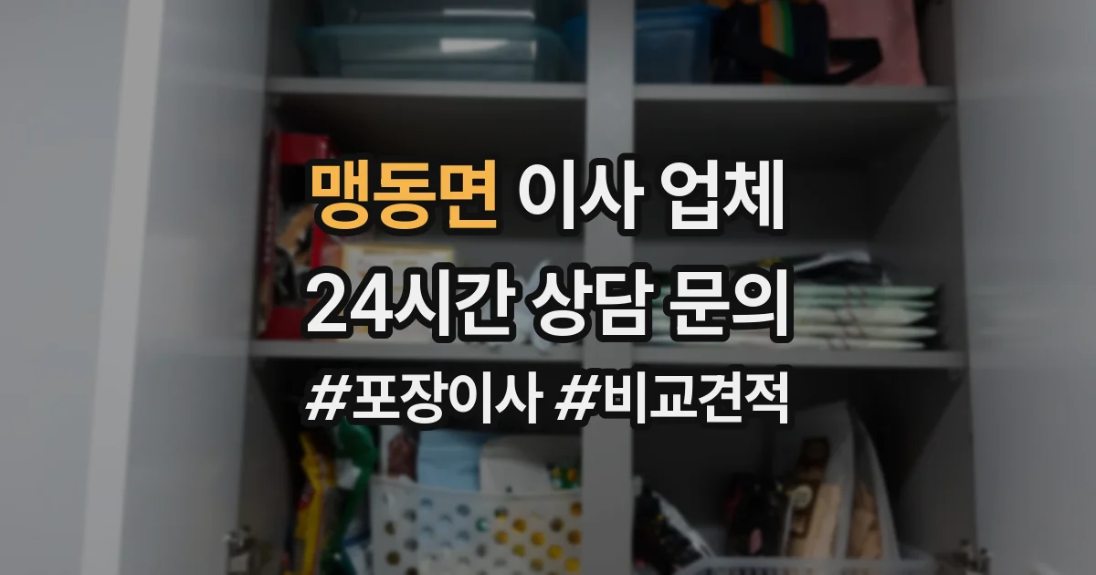 맹동면 이사 업체