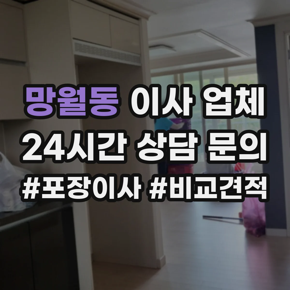 망월동 이사 업체
