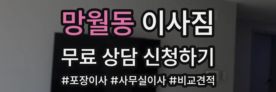 망월동 이사짐