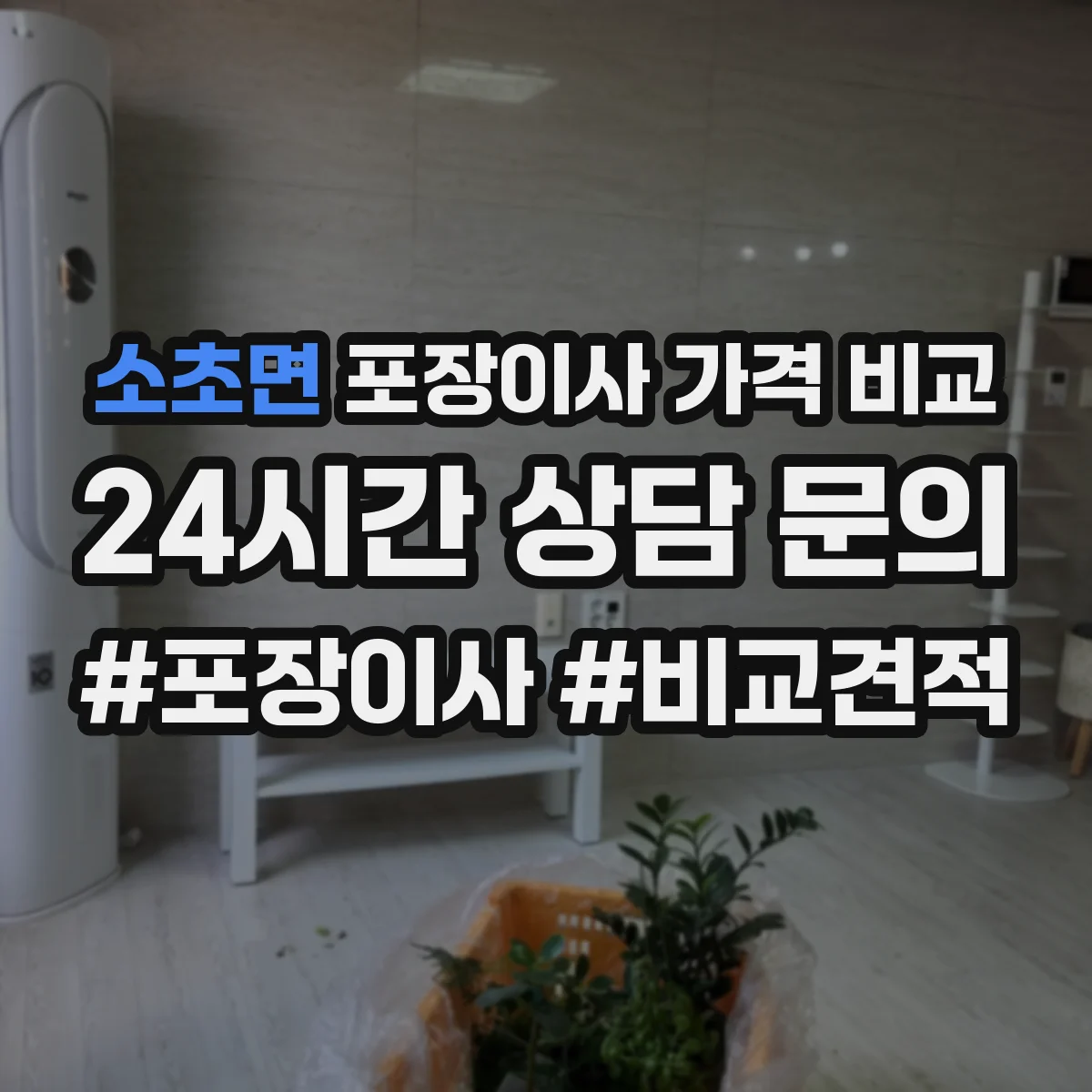 소초면 포장이사 가격 비교