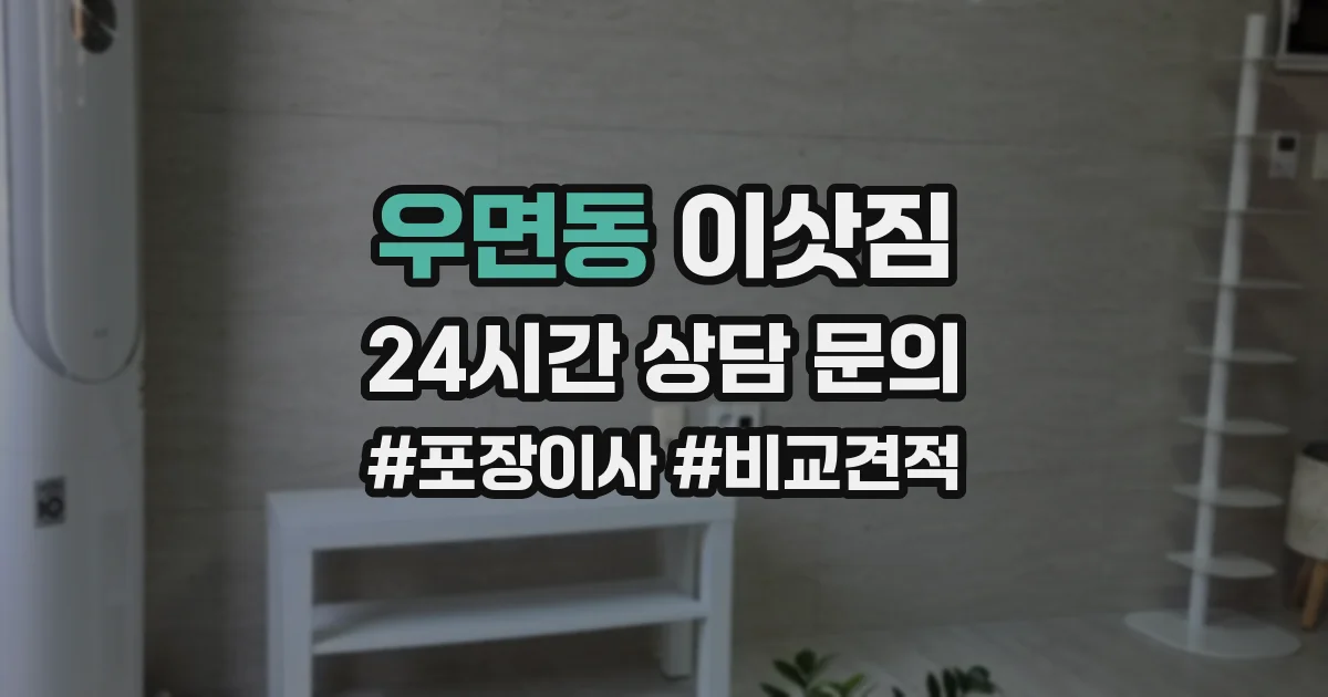 우면동 이삿짐