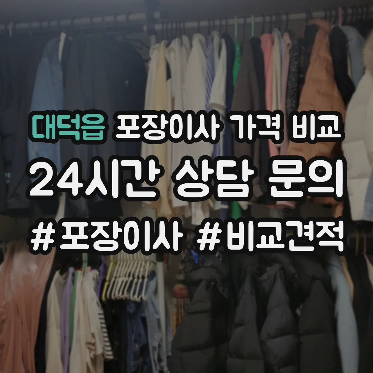 대덕읍 포장이사 가격 비교