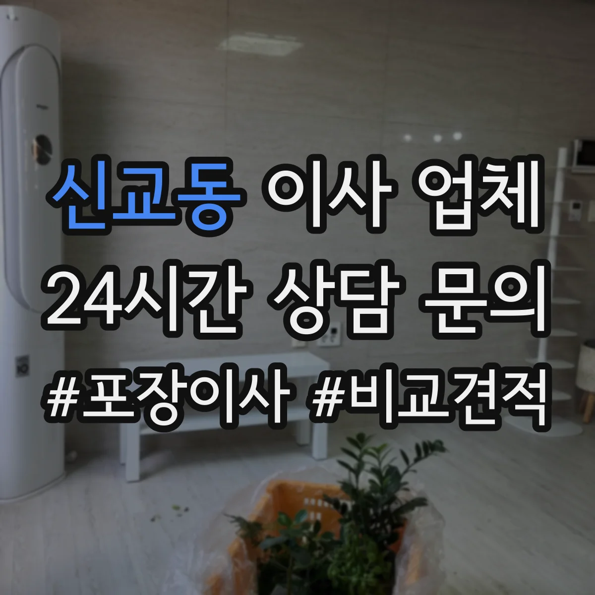 신교동 이사 업체