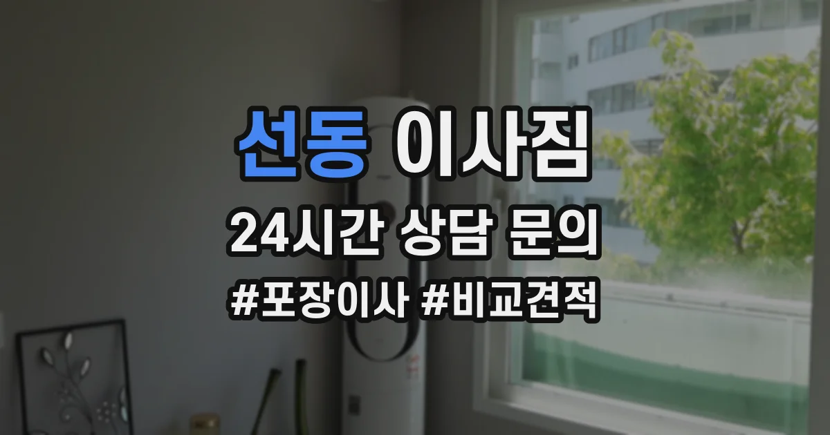 선동 이사짐