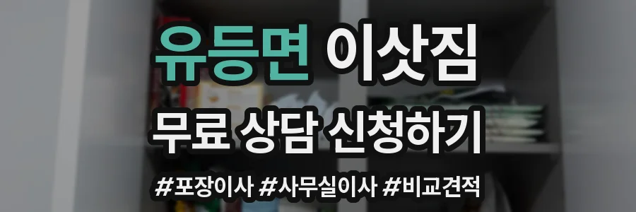 유등면 이삿짐