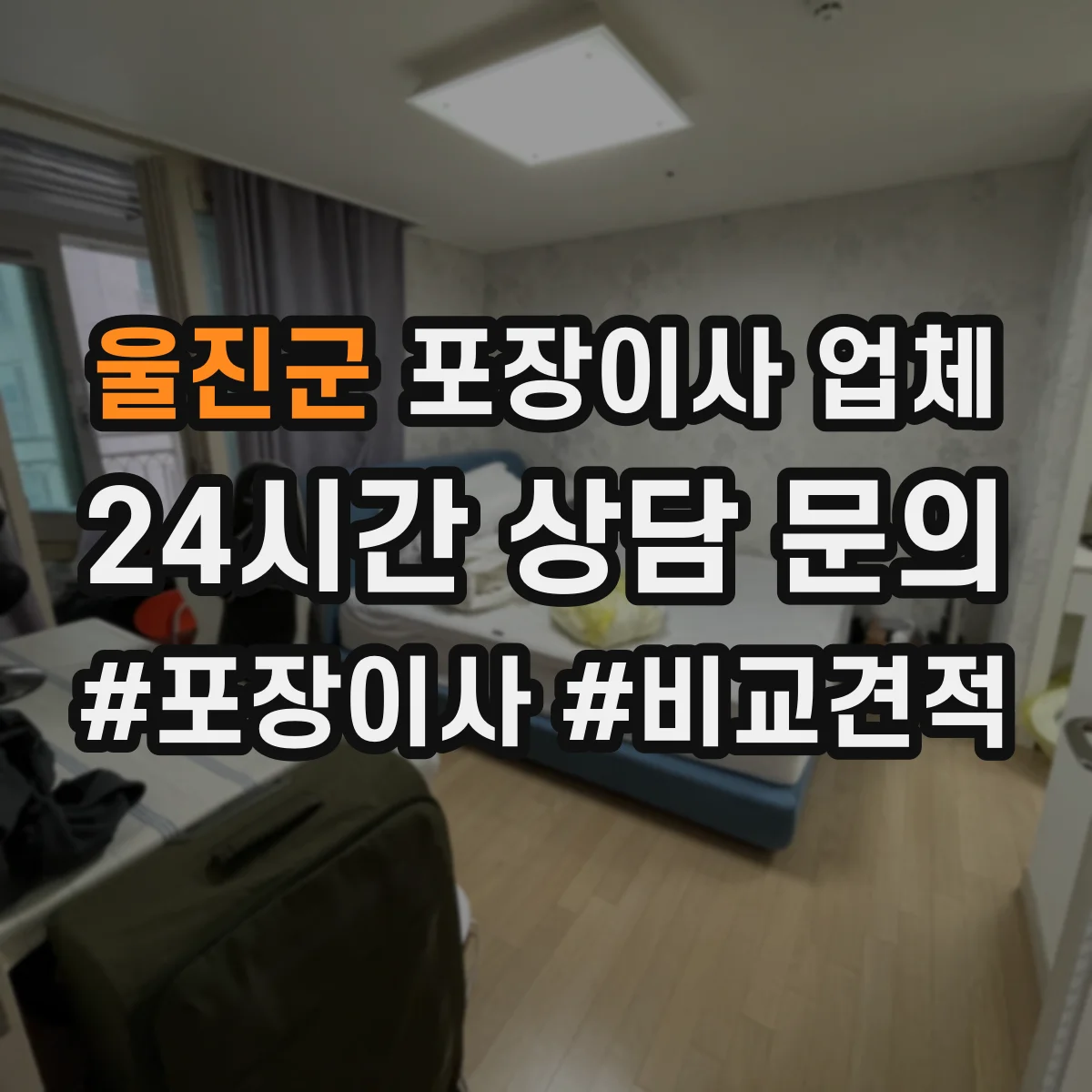 울진군 포장이사 업체