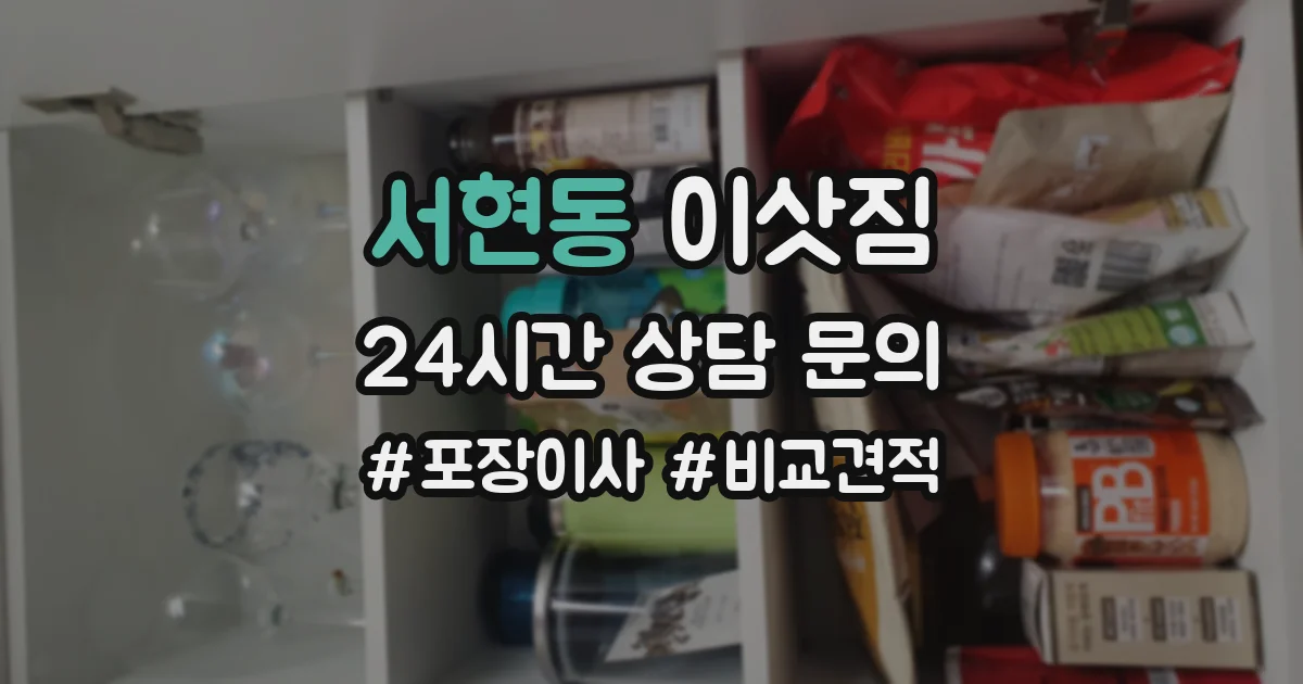 서현동 이삿짐