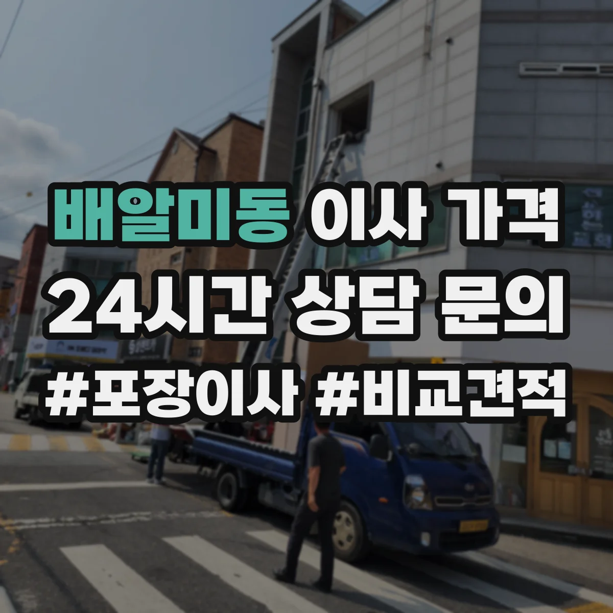 배알미동 이사 가격