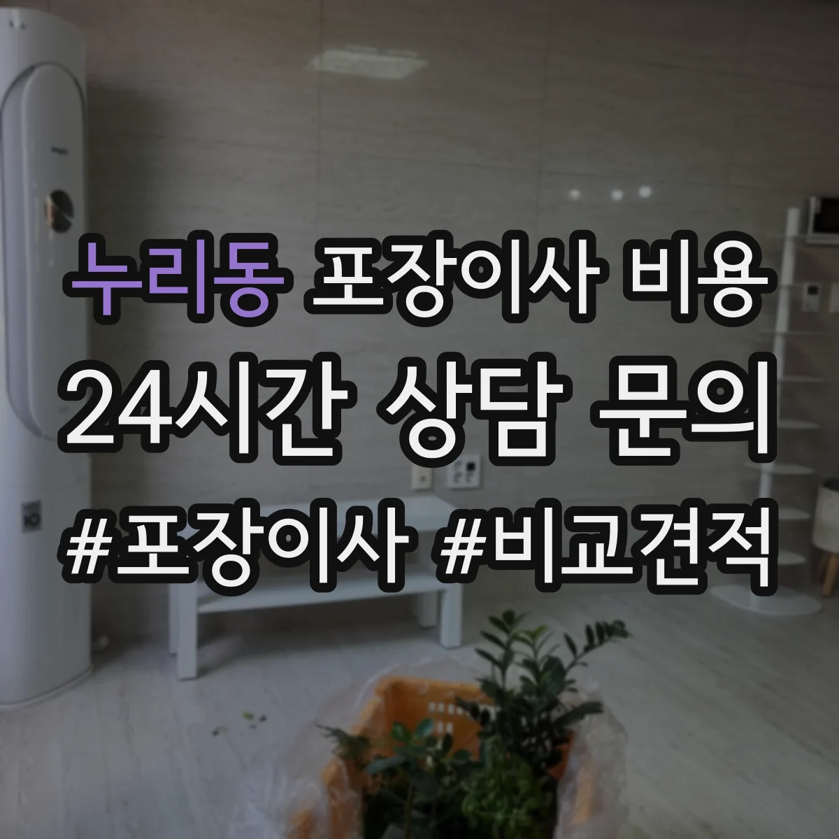 누리동 포장이사 비용