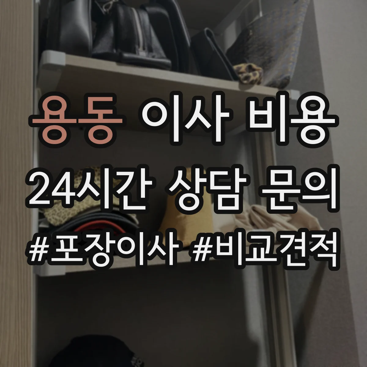 용동 이사 비용