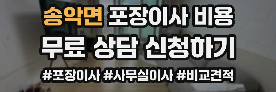 송악면 포장이사 비용