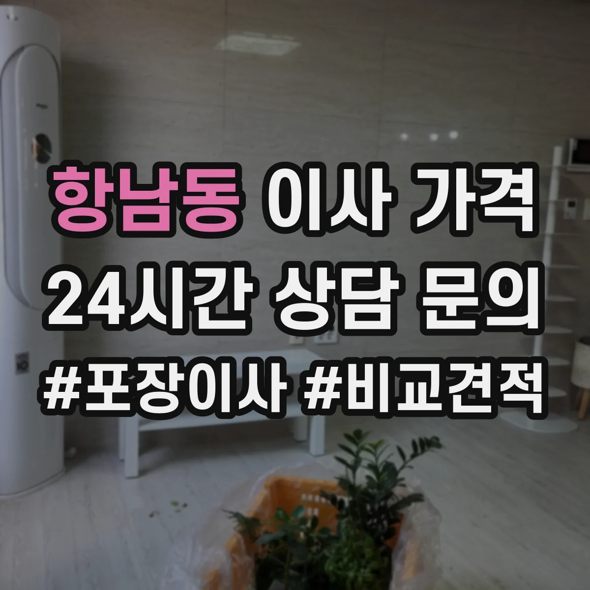 항남동 이사 가격