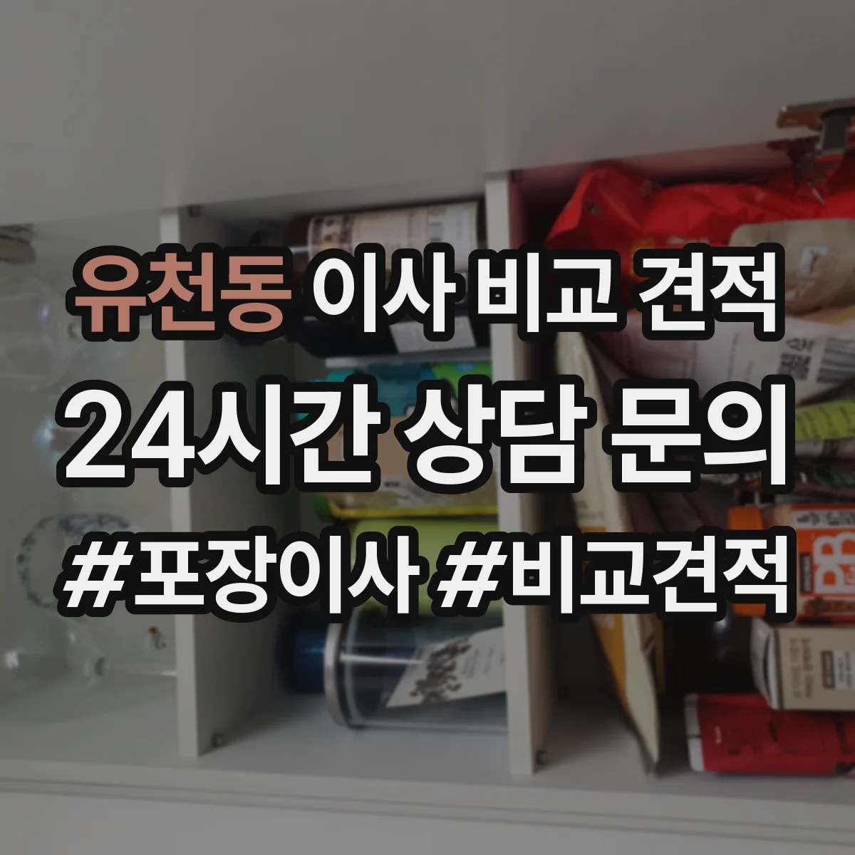 유천동 이사 비교 견적