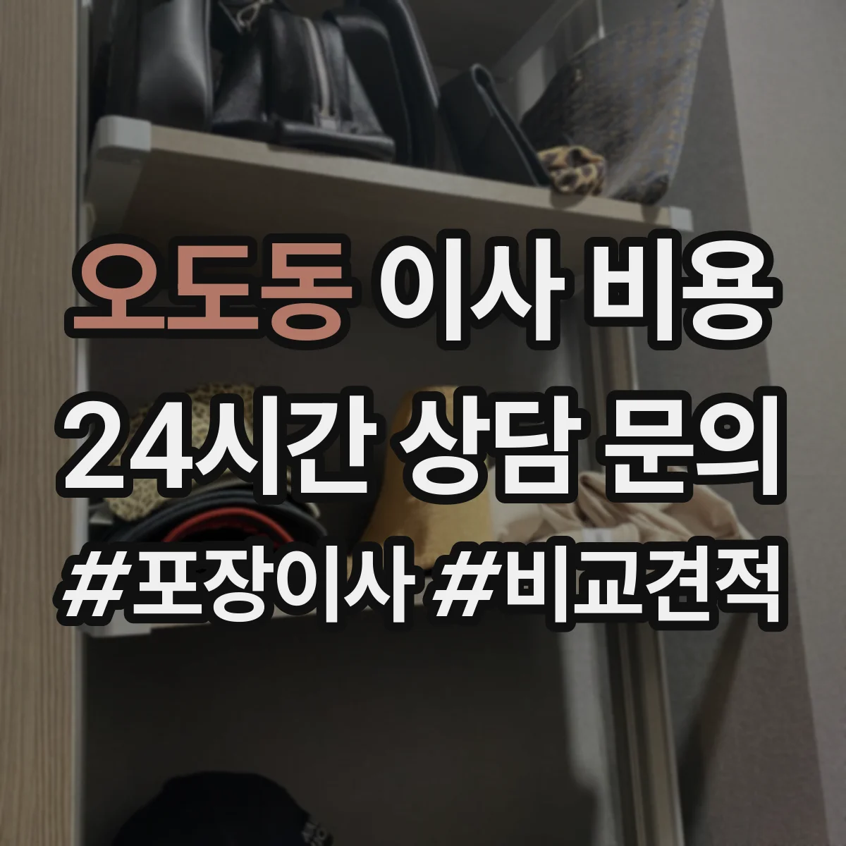 오도동 이사 비용