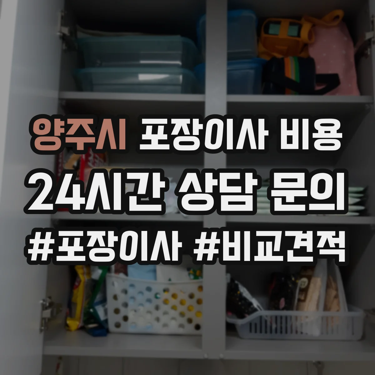 양주시 포장이사 비용