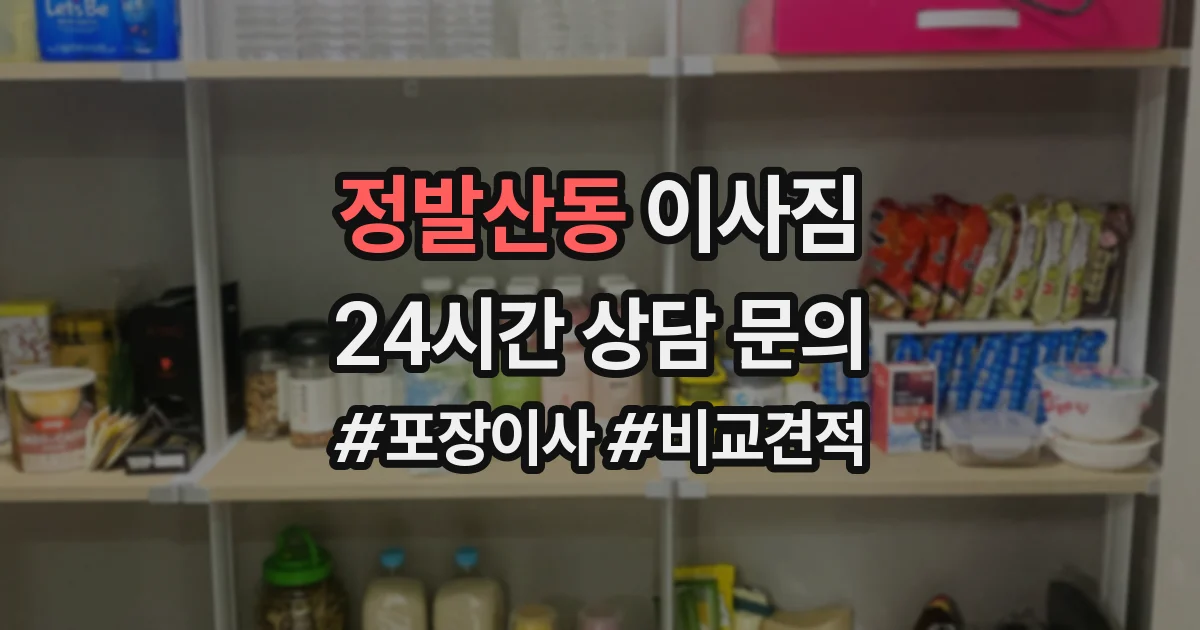 정발산동 이사짐