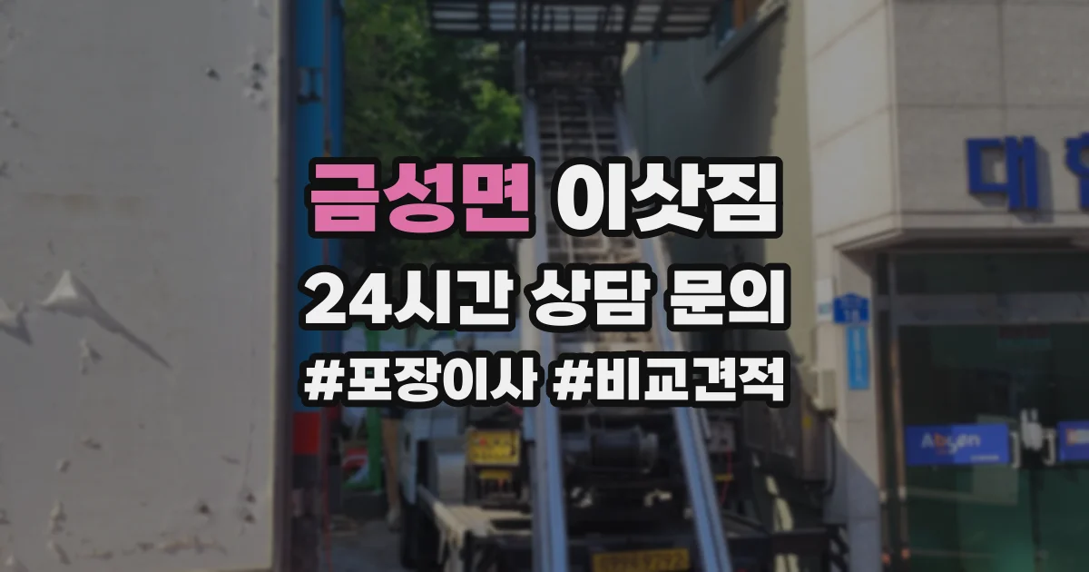 금성면 이삿짐