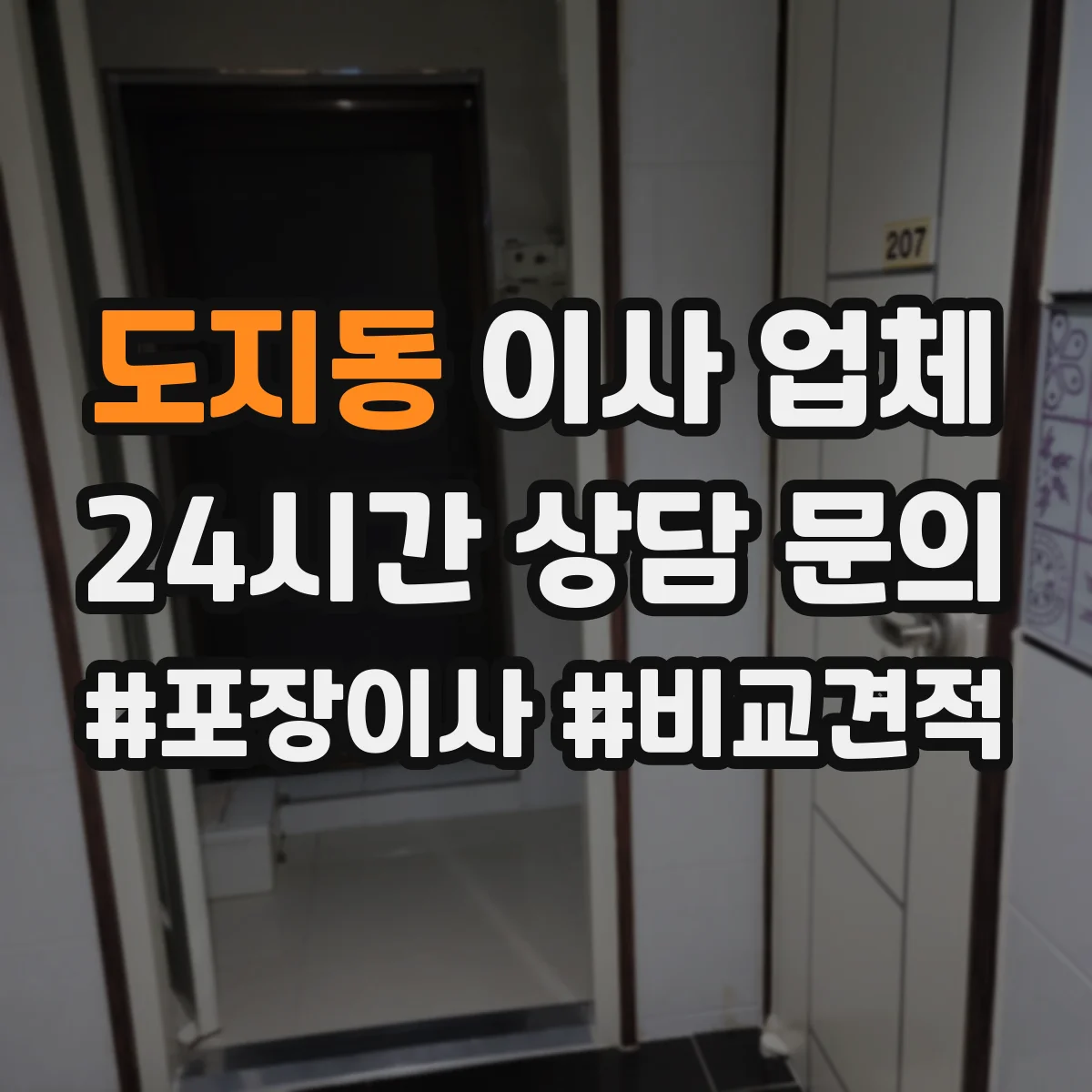 도지동 이사 업체