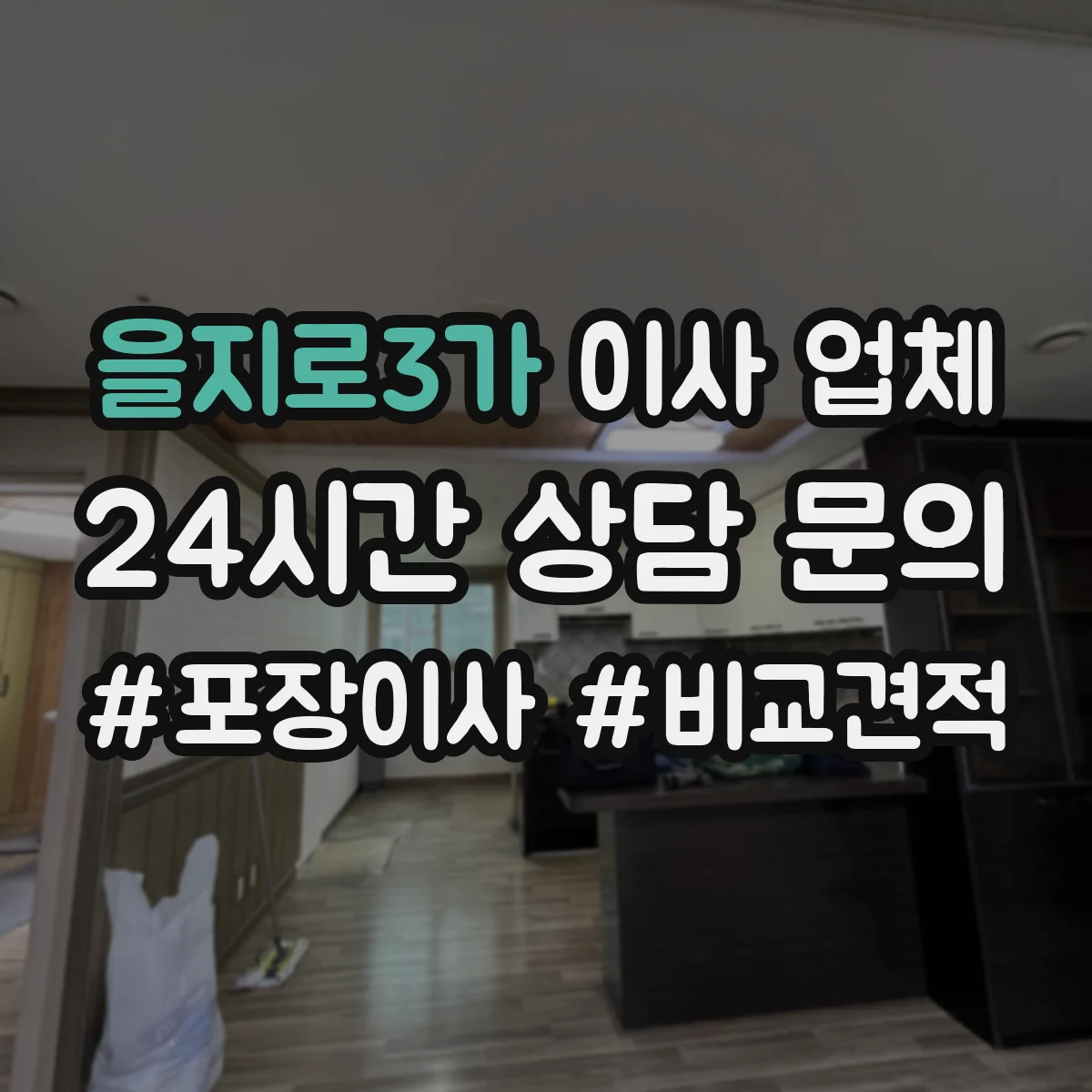 을지로3가 이사 업체