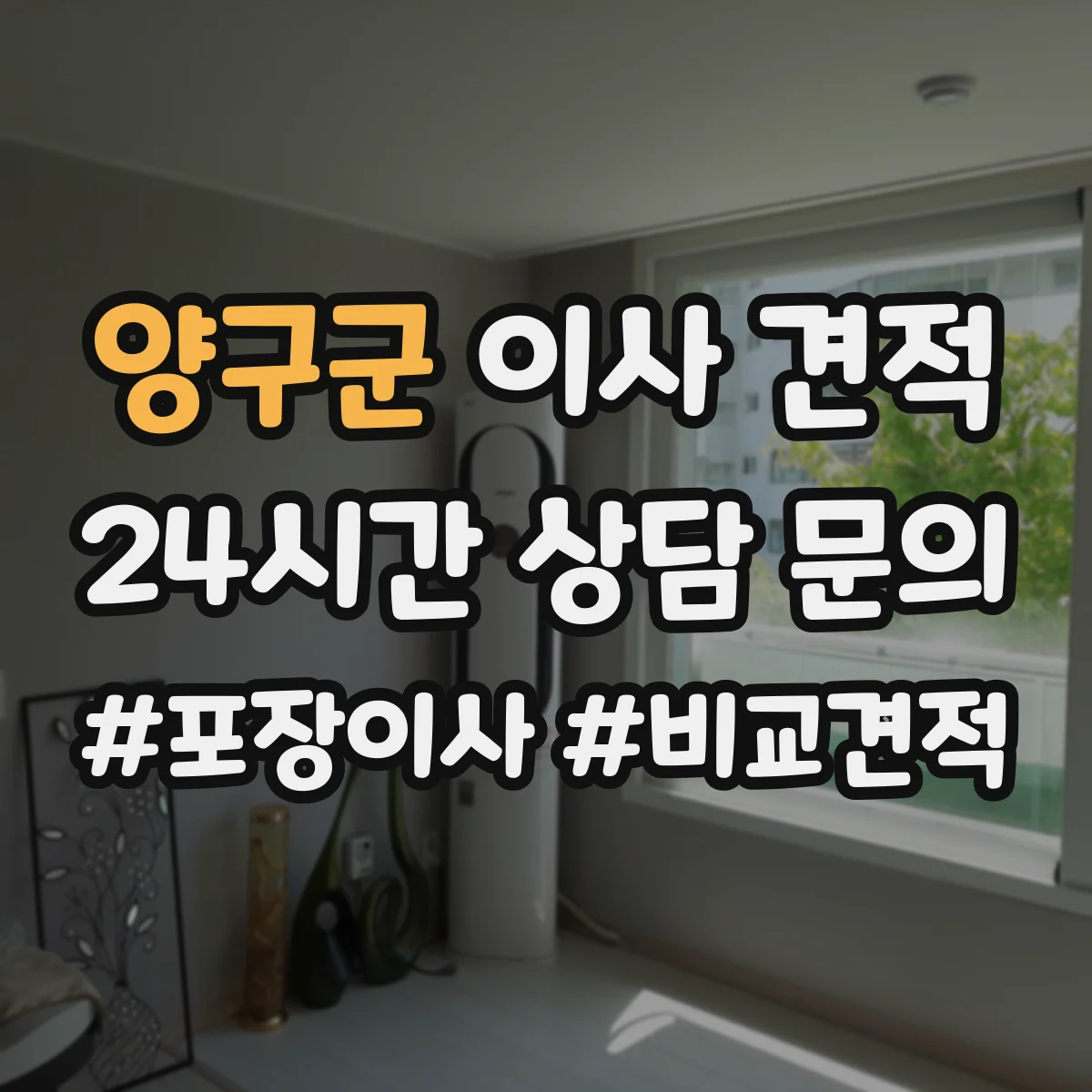 양구군 이사 견적