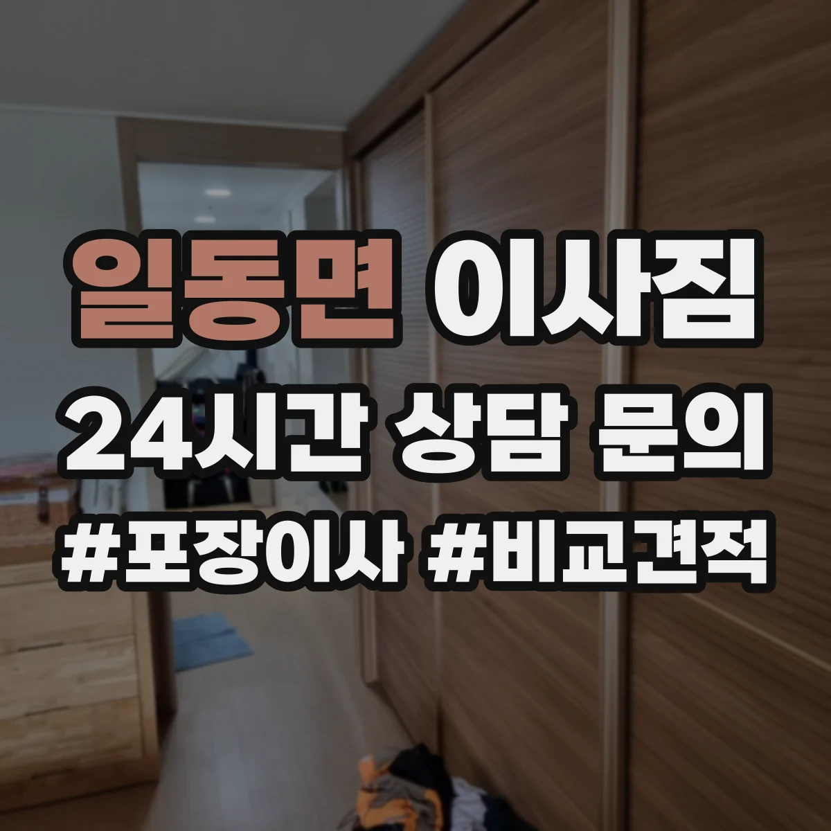일동면 이사짐