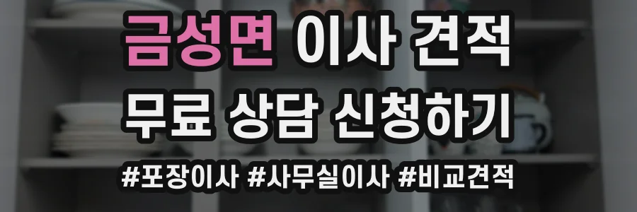 금성면 이사 견적