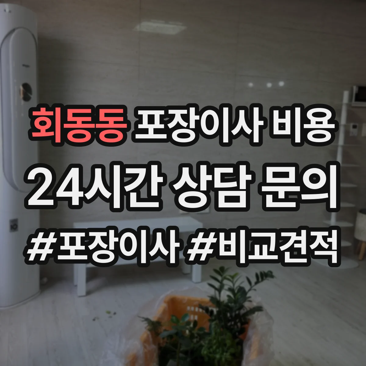 회동동 포장이사 비용