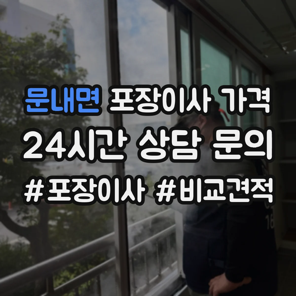 문내면 포장이사 가격