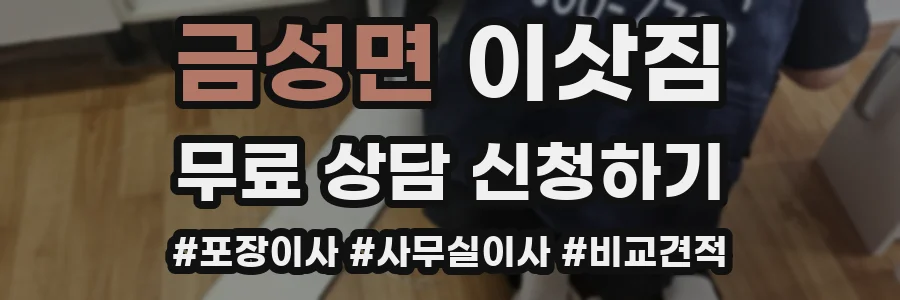 금성면 이삿짐